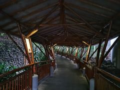 -海口观澜湖火山温泉谷