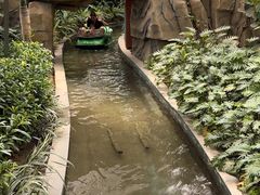 -南宫五洲植物乐园