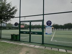 -顺峰山公园