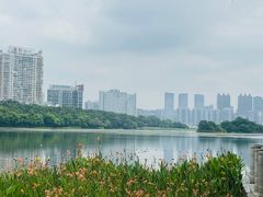-南宁南湖公园