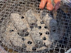 -燚青春东北泥炉烤肉(百合店)