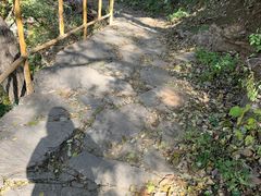 -北京上方山国家森林公园