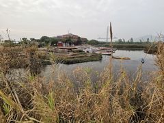 -芒洲湿地公园