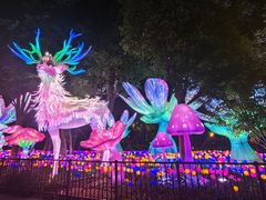 -苏州乐园森林水世界