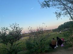 -花博汇(知音花月夜)