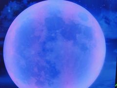 -天津梵高星空艺术馆(天河城旗舰店)