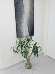 -海涛医疗美容·面部抗衰·注射美鼻