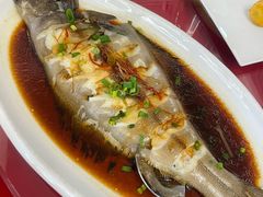 -青岛美食鲁菜大酒店