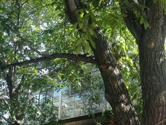 android_upload_pic-十三陵山水雅园农家院