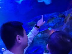 -沈阳海洋探索中心