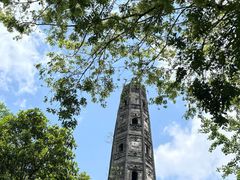 -上海佘山国家森林公园天马山园