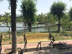 -杨柳青庄园