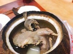 -達揚原味燉品(文明路店)