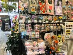 -溪岸路花鸟市场