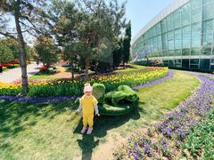 -石家庄市植物园