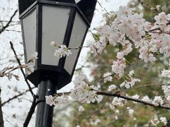 -鸡鸣寺