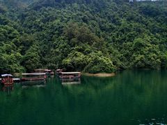 -鼎湖山风景区