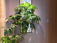 -单家老院·院子里的青岛菜(沙子口店)