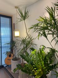 -吾之瑜生瑜伽普拉提学院