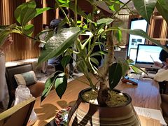 -浅深(北京北四环精品店)