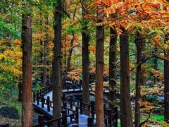 -国家植物园南园