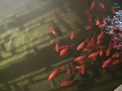 -麒麟小院·老九江菜(安平路店)