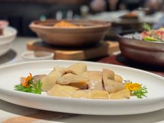 白切鸡-滋粥楼·顺德菜(番禺广场总店)