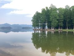 -四明湖