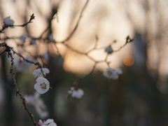 -碑林公园