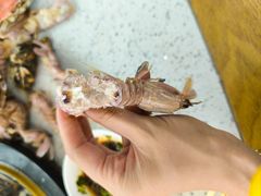 -王潮活海鲜自助·蒸汽海鲜
