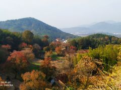 -塔川景区