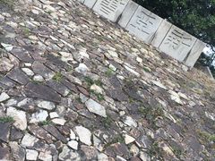 -大埔公路-马料水段香港中文大学(公交站)