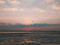 -宝安西湾红树林湿地公园