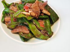 擂辣椒炒肉-百富源·海鲜辽菜(浑河堡店)