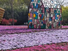 -石家庄市植物园