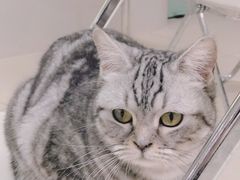 -怪兽屋·羊驼·猫咖·狗咖(俊华广场店)