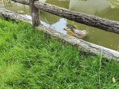 -昆明动物园