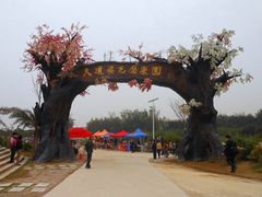 天适樱花悠乐园（门面）-天适樱花悠乐园