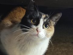 -便利蜂(广安门内大街319号店)