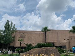 -自贡恐龙博物馆