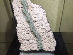 -中华赏石园
