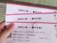 -武汉杂技厅