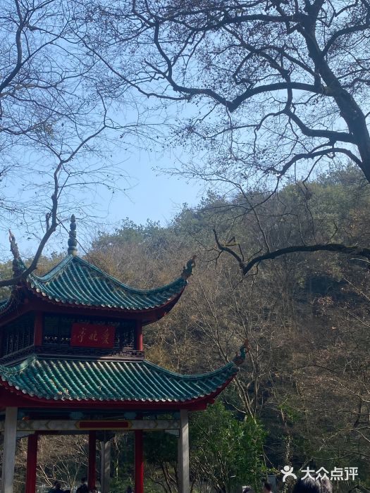 岳麓山风景名胜区图片