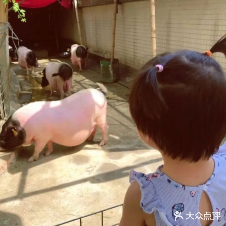 来这个乐园感受自然风情