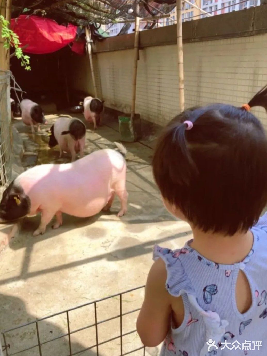 来这个乐园感受自然风情