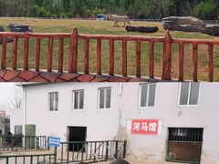 -宿豫区运河湾森林动物园