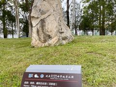 -延庆地质公园博物馆