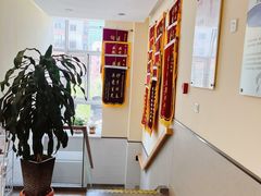 -爱派特动物医院·全科诊疗中心