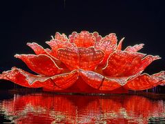 -洛阳市隋唐城遗址植物园