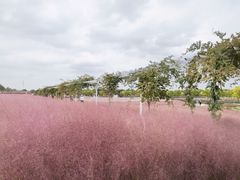 -嘉北郊野公园